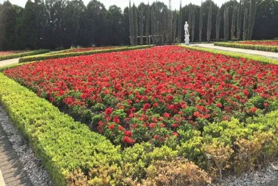 Jardines de MÃ©xico 4 jigsaw puzzle