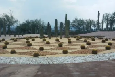 Jardines de MÃ©xico 6 jigsaw puzzle