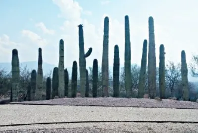 Jardines de MÃ©xico 8