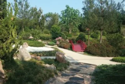 Jardines de MÃ©xico 9 jigsaw puzzle