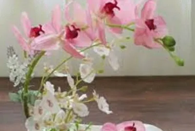 flores