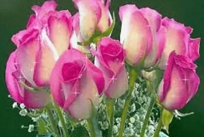 flores