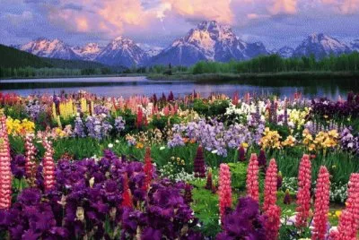 flores raras