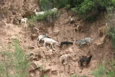 buen equilibrio jigsaw puzzle