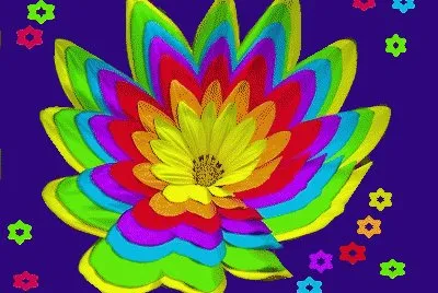 lily6