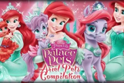 Ariel jigsaw puzzle