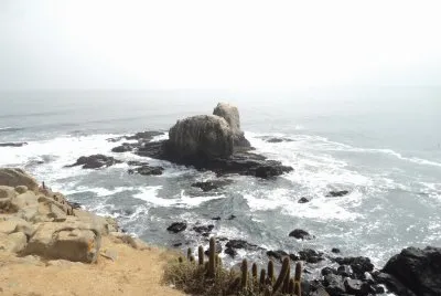 punta  de lobos