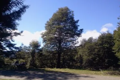 paisaje