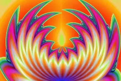 Lotus Digital