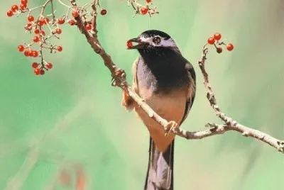 ä¸–ç•Œé¢¨æ™¯