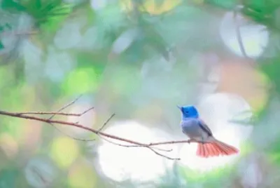 ä¸–ç•Œé¢¨æ™¯