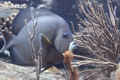 en el mar jigsaw puzzle