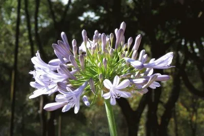My photos jigsaw puzzle