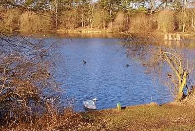 Shipley Country Park