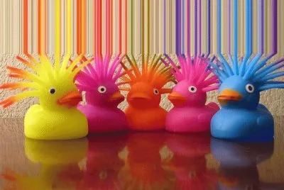 Rubber Duck 's