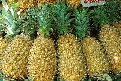 פאזל של PiÃ±as