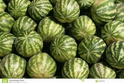 פאזל של Sandias