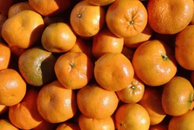 פאזל של Mandarinas