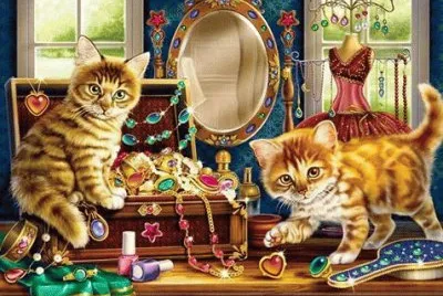 gato