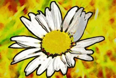 10 jigsaw puzzle