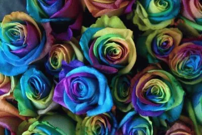 imagenes bonitas jigsaw puzzle