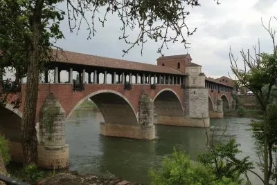 pavia