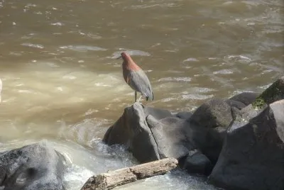 hocÃ³ jigsaw puzzle