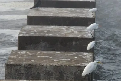 escalera jigsaw puzzle