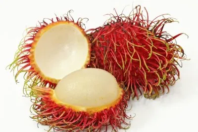 פאזל של Rambutan