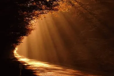 Luz