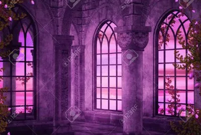 fantasia jigsaw puzzle