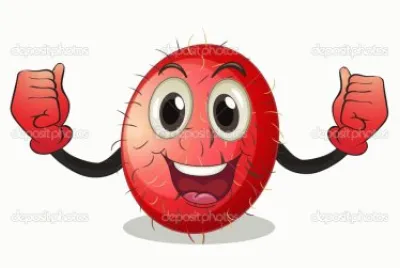 פאזל של RambutÃ¡n Animado