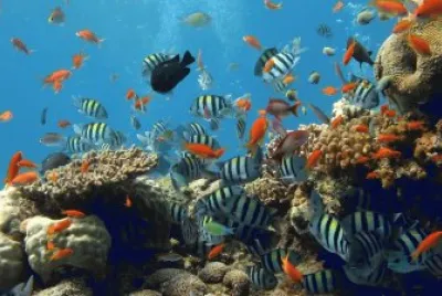 fundo do mar