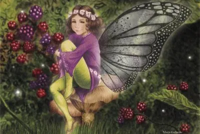 fantasia jigsaw puzzle