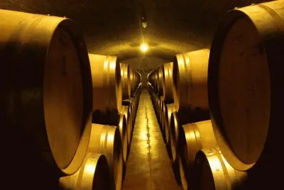 bodega mendocina jigsaw puzzle