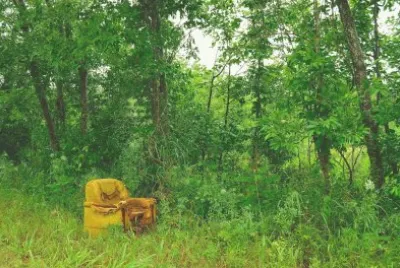 abandonado jigsaw puzzle