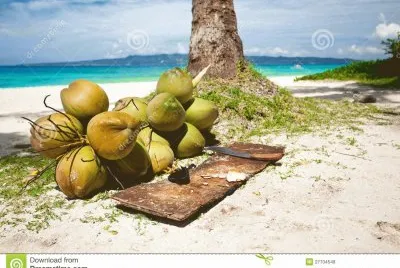 פאזל של Cocos