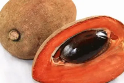פאזל של Mamey