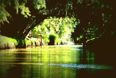 Arroyo Rama Negra. Buenos Aires. Argentina