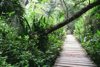 sendero jigsaw puzzle