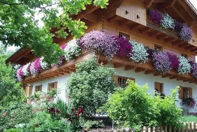 casa florida
