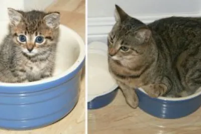 segÃºn pasan los aÃ±os jigsaw puzzle