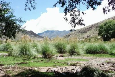 totoras jigsaw puzzle