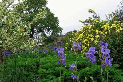 jardÃ­n jigsaw puzzle