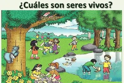 lumapace1