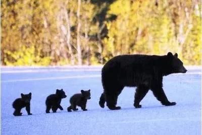 mom#213