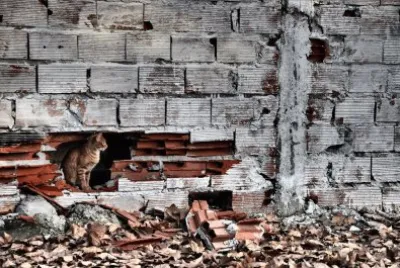 casa propia jigsaw puzzle