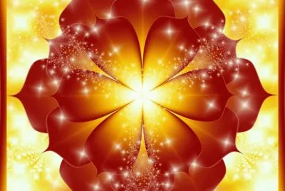 Shiny Rose