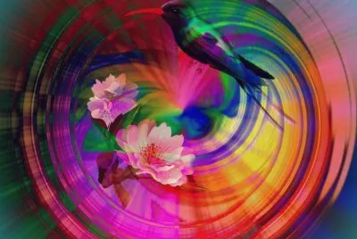 Flower and Hummingbird