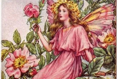 fantasia jigsaw puzzle